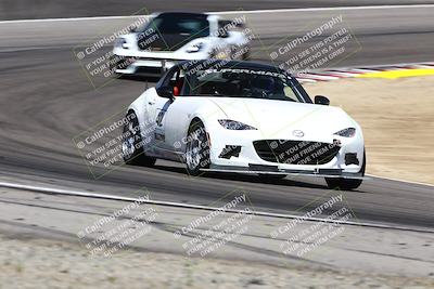 media/May-18-2025-Speed Ventures (Sun) [[b6e29aef7d]]/Green/Session 2 (Turn 5)/
